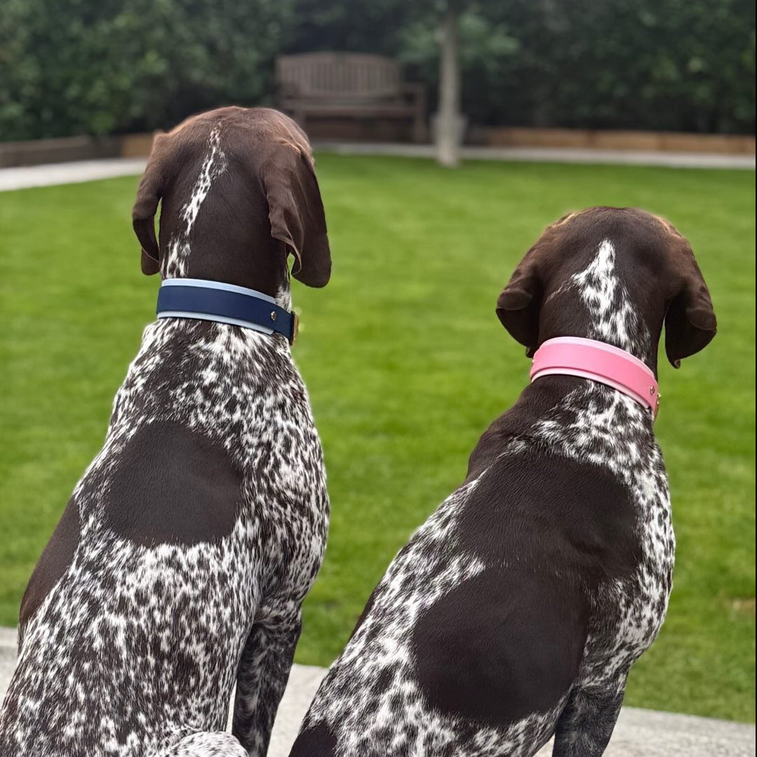 The Blues BioThane® Hound Style Collar