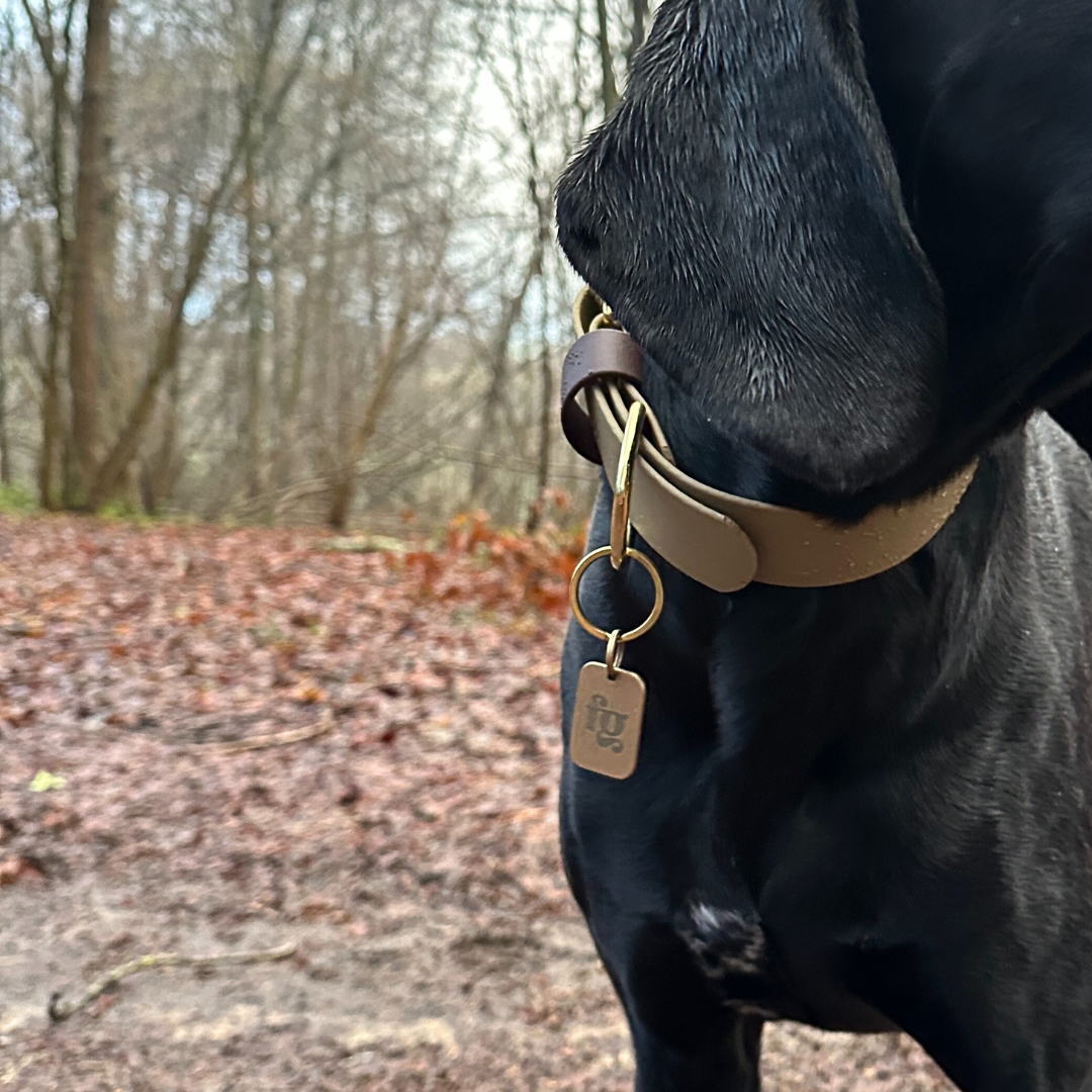 Loki Wide 38mm BioThane® Collar