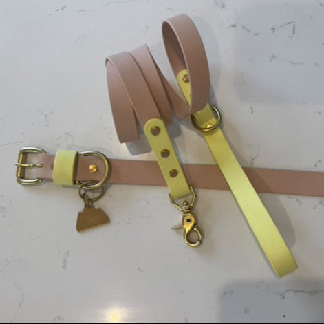 Gerald Colourblock BioThane® Collar