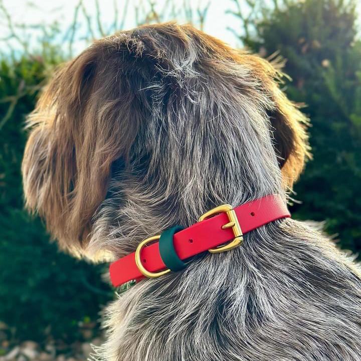 Christmas BioThane® Collar - Red