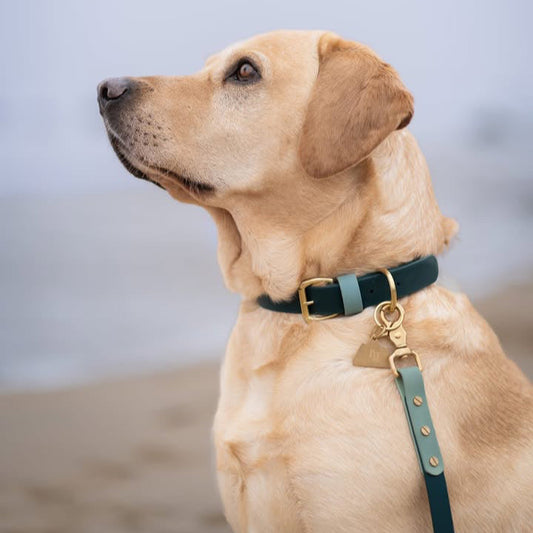 Merlin Colourblock BioThane® Collar