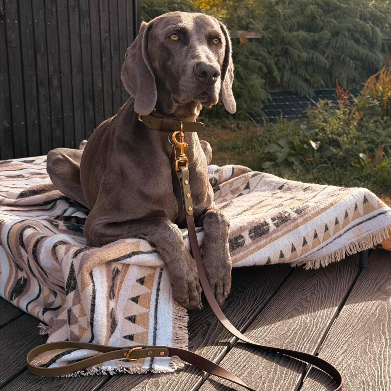 Otto Colourblock BioThane® Collar