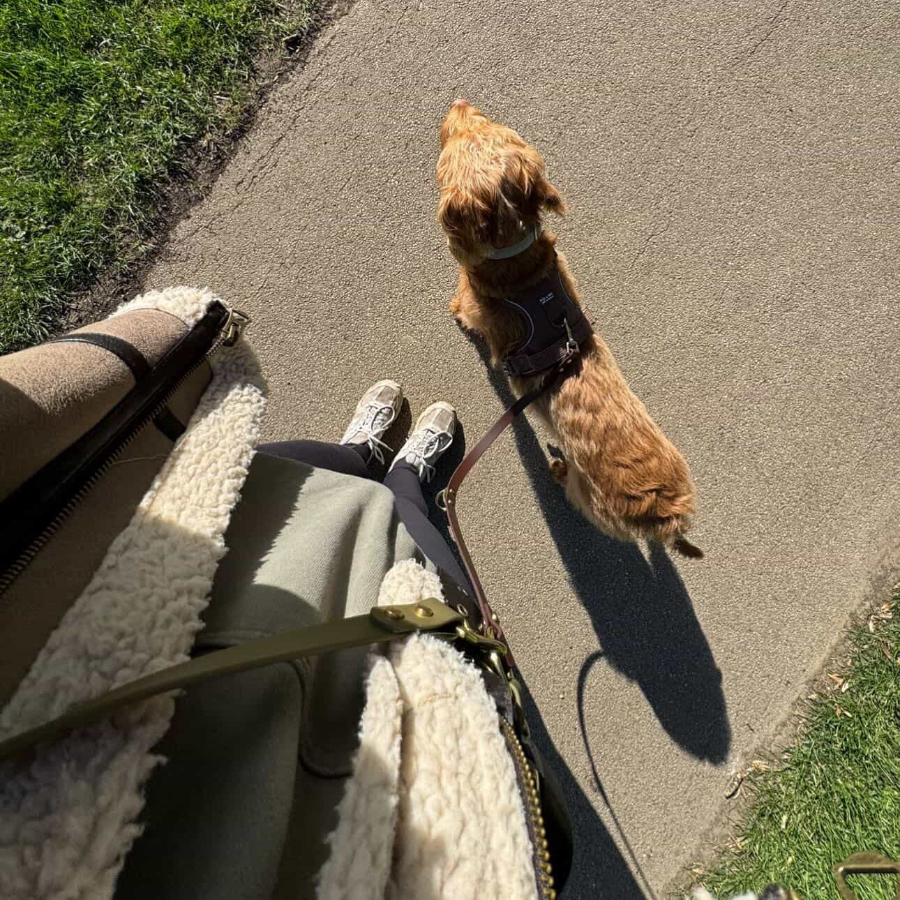 Otto Crossbody Multiway BioThane® Lead