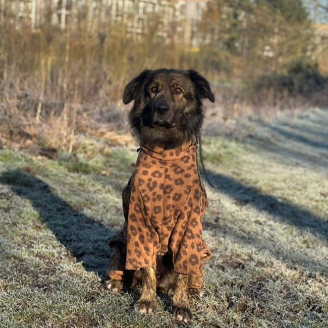 Leopard Print Fleece Dog Onesie