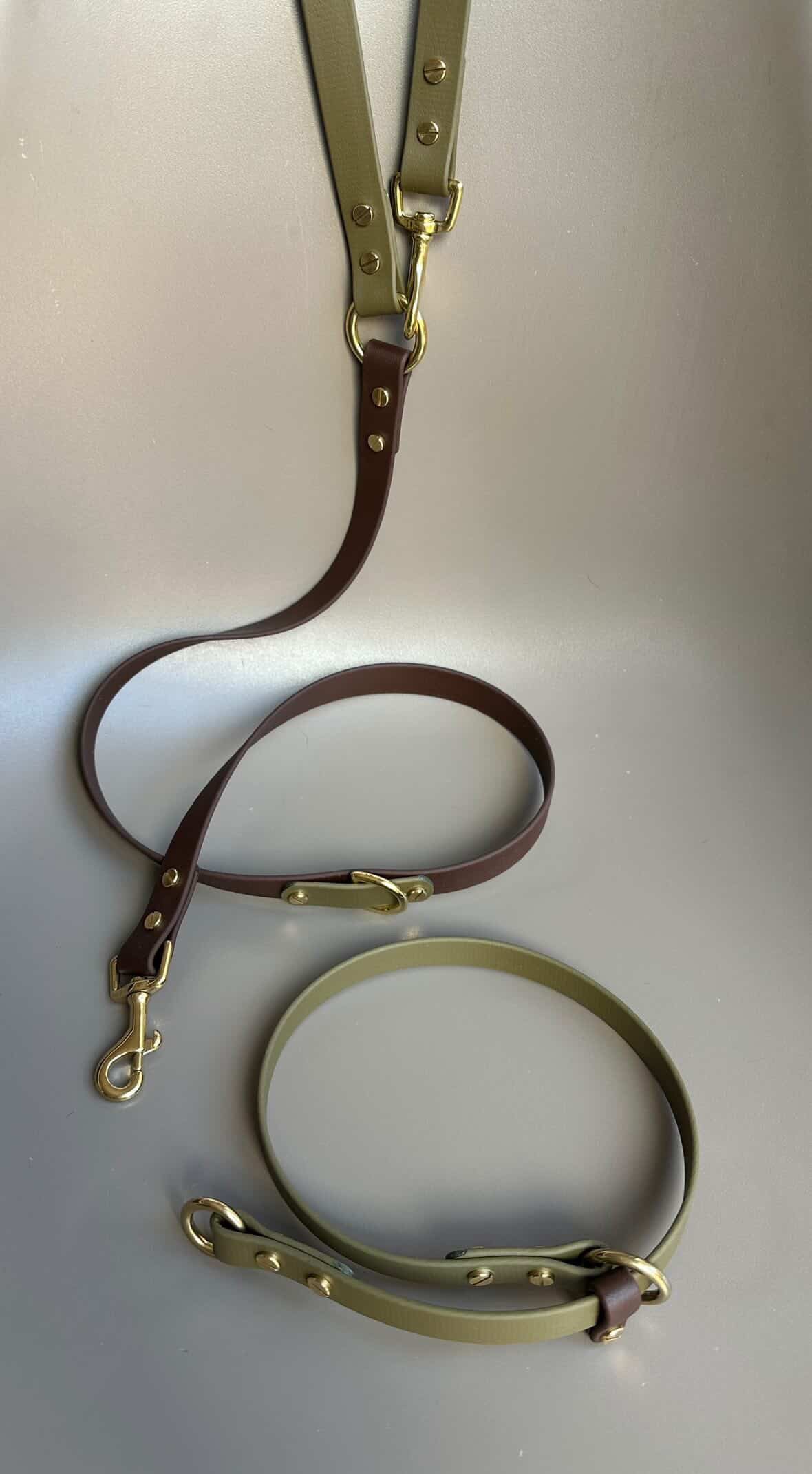 Otto Crossbody Multiway BioThane® Lead