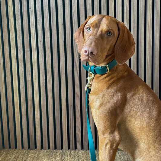 Emerald BioThane® Collar