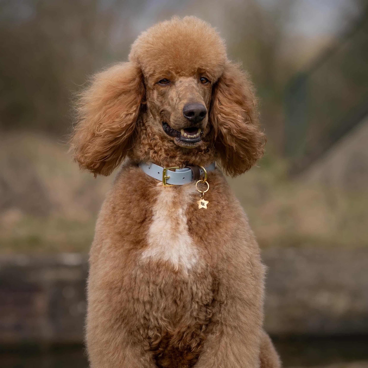 Reuben Colourband BioThane® Collar