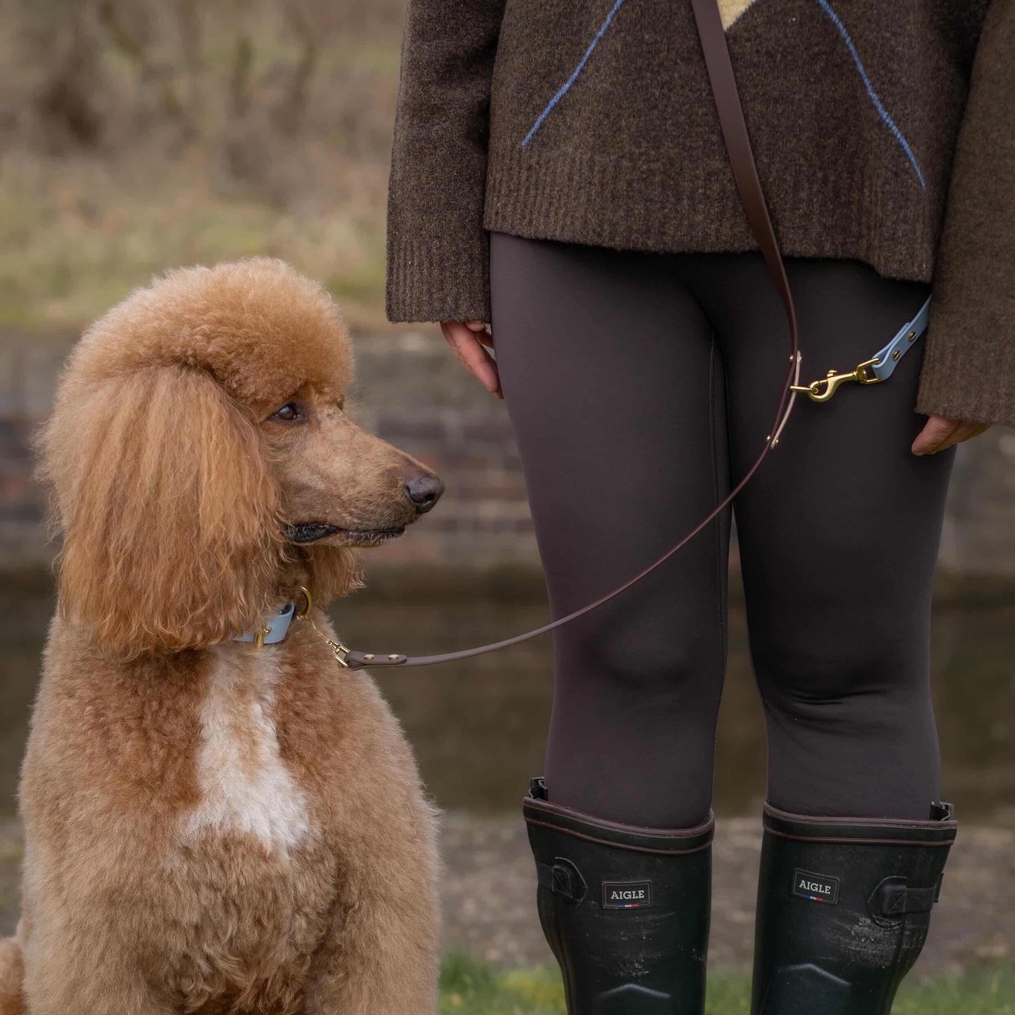 Reuben Colourband BioThane® Collar