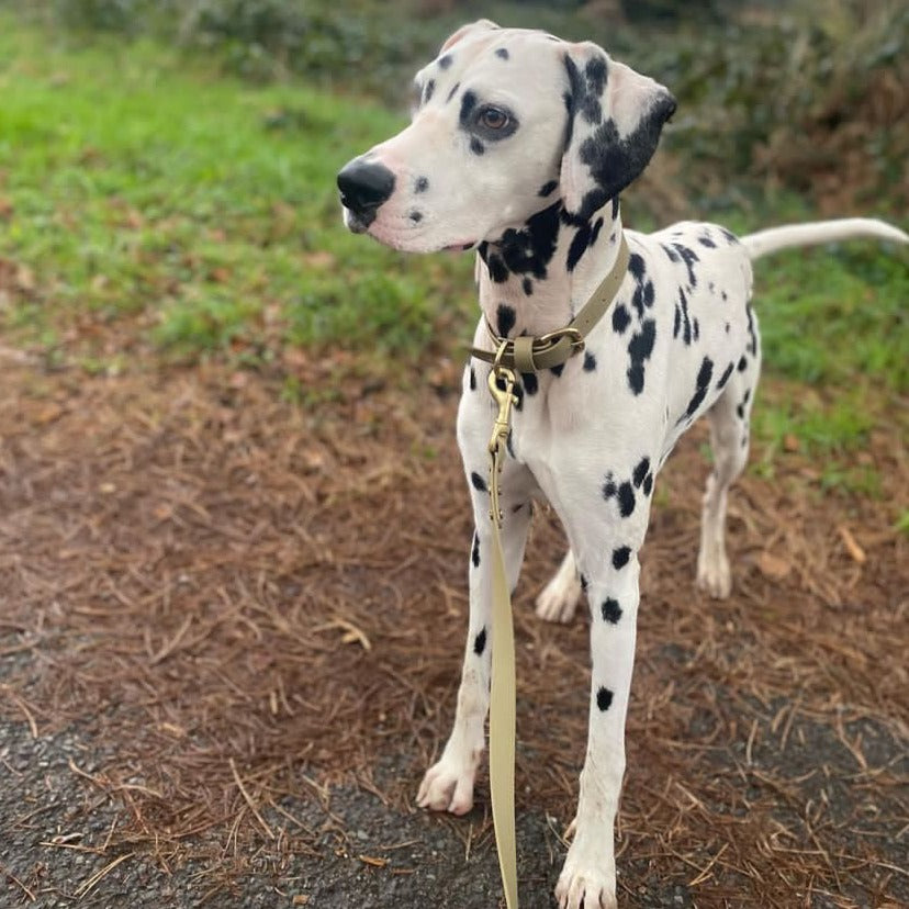 Khaki BioThane® Collar