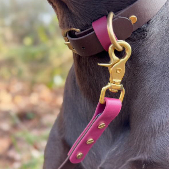 Otis Colourblock BioThane® Collar