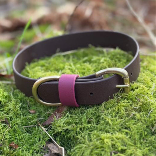 Otis Colourblock BioThane® Collar