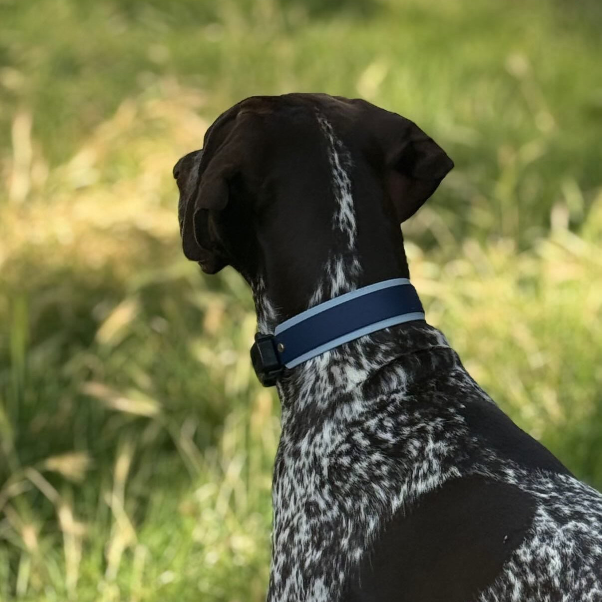 The Blues BioThane® Hound Style Collar