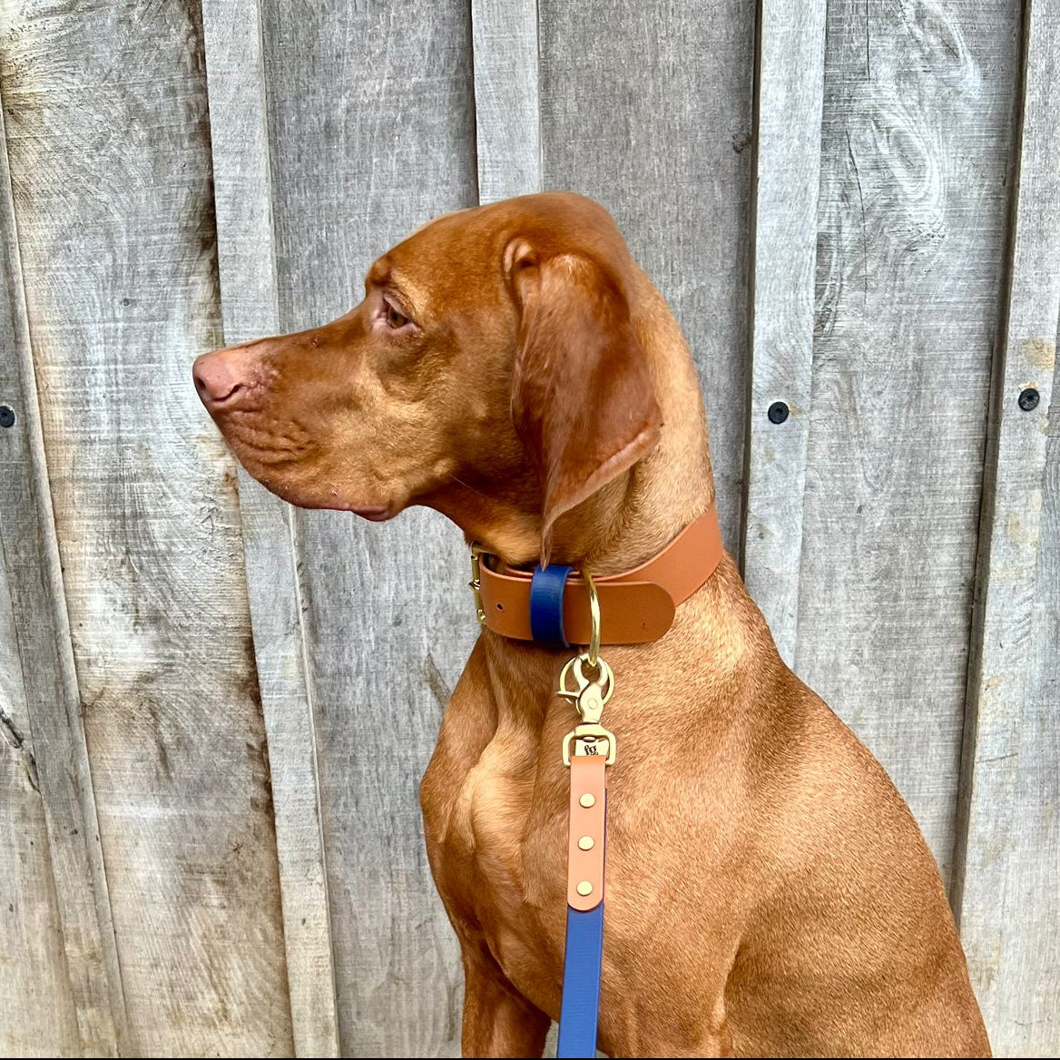 Bud Wide 38mm BioThane® Collar