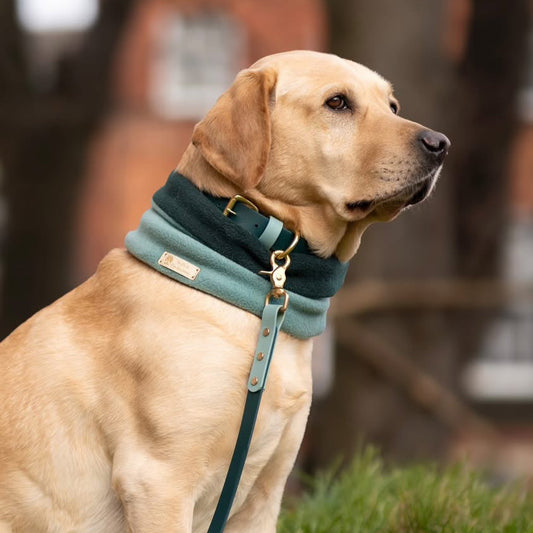 Merlin Colourblock BioThane® Lead