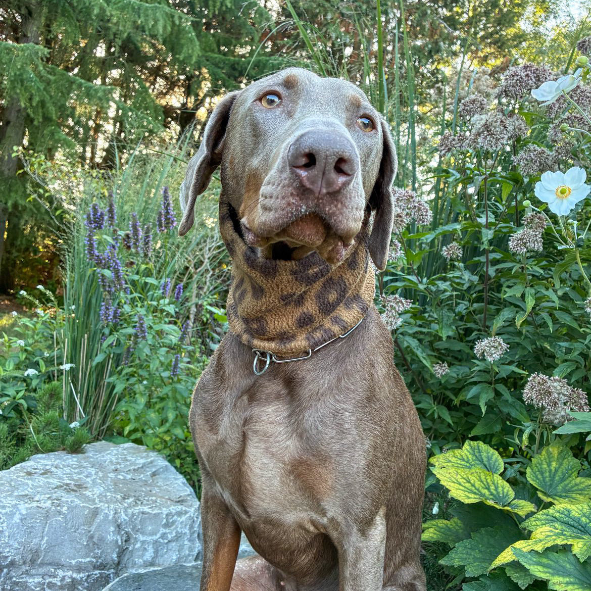 Leopard Print Fleece Dog Snood