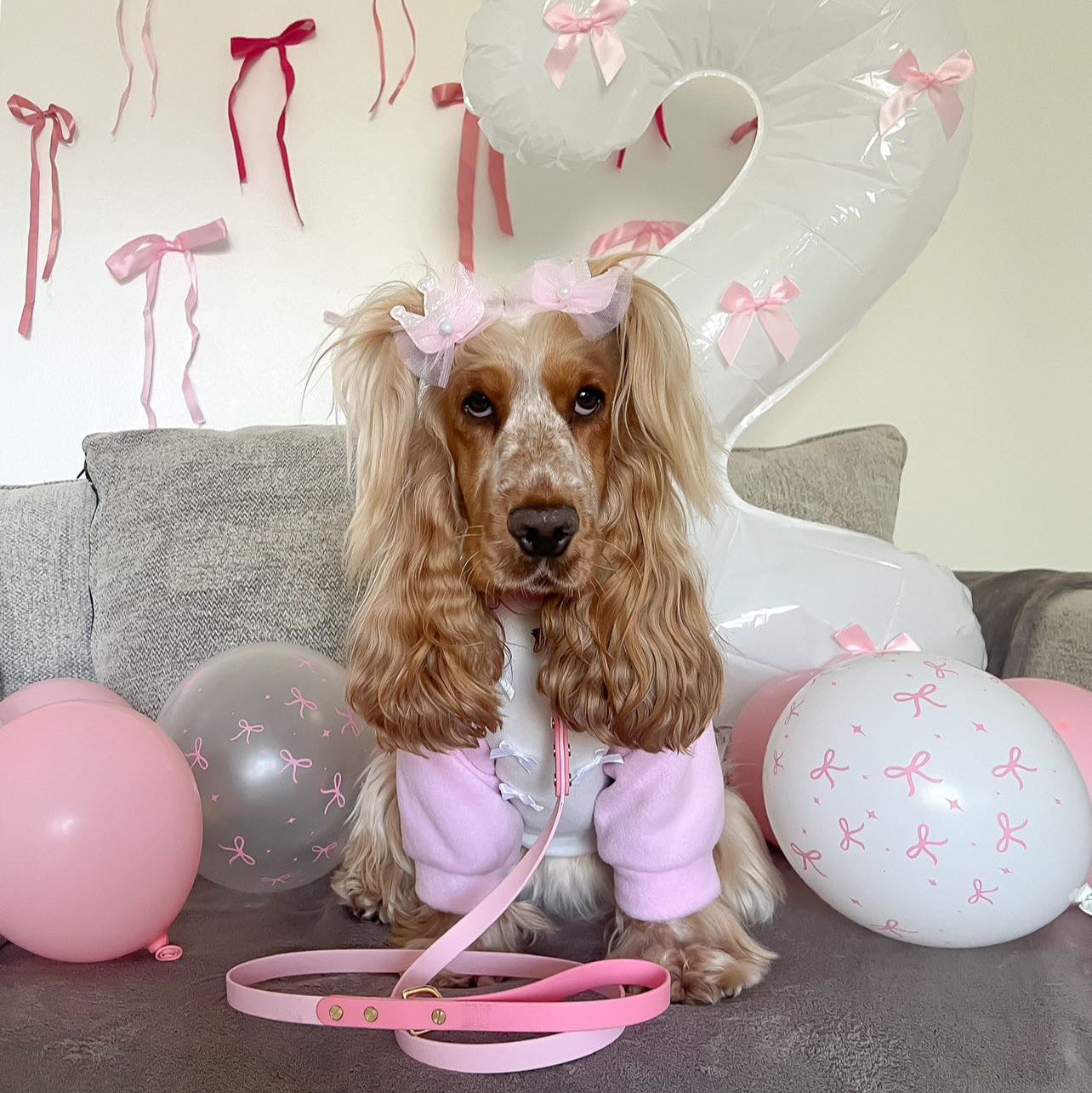 Moo's Colourblock BioThane® Collar