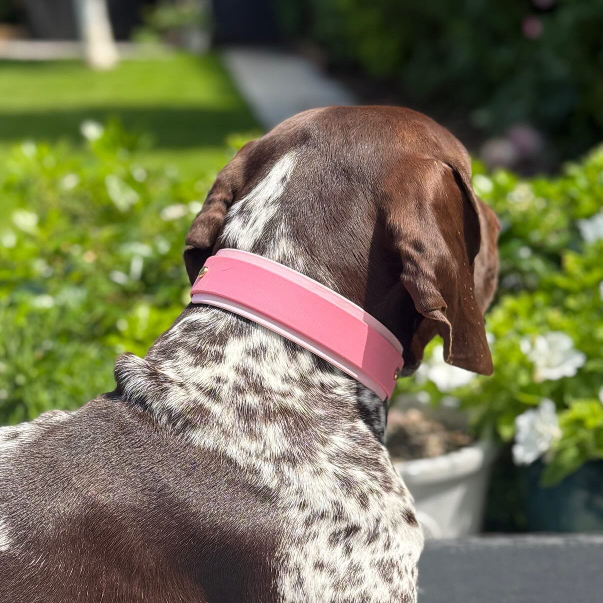The Pinks BioThane® Hound Style Collar