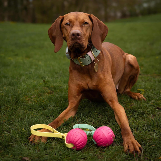 Tug Ball With BioThane® Handle