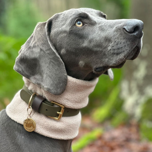 Otto Colourblock BioThane® Collar