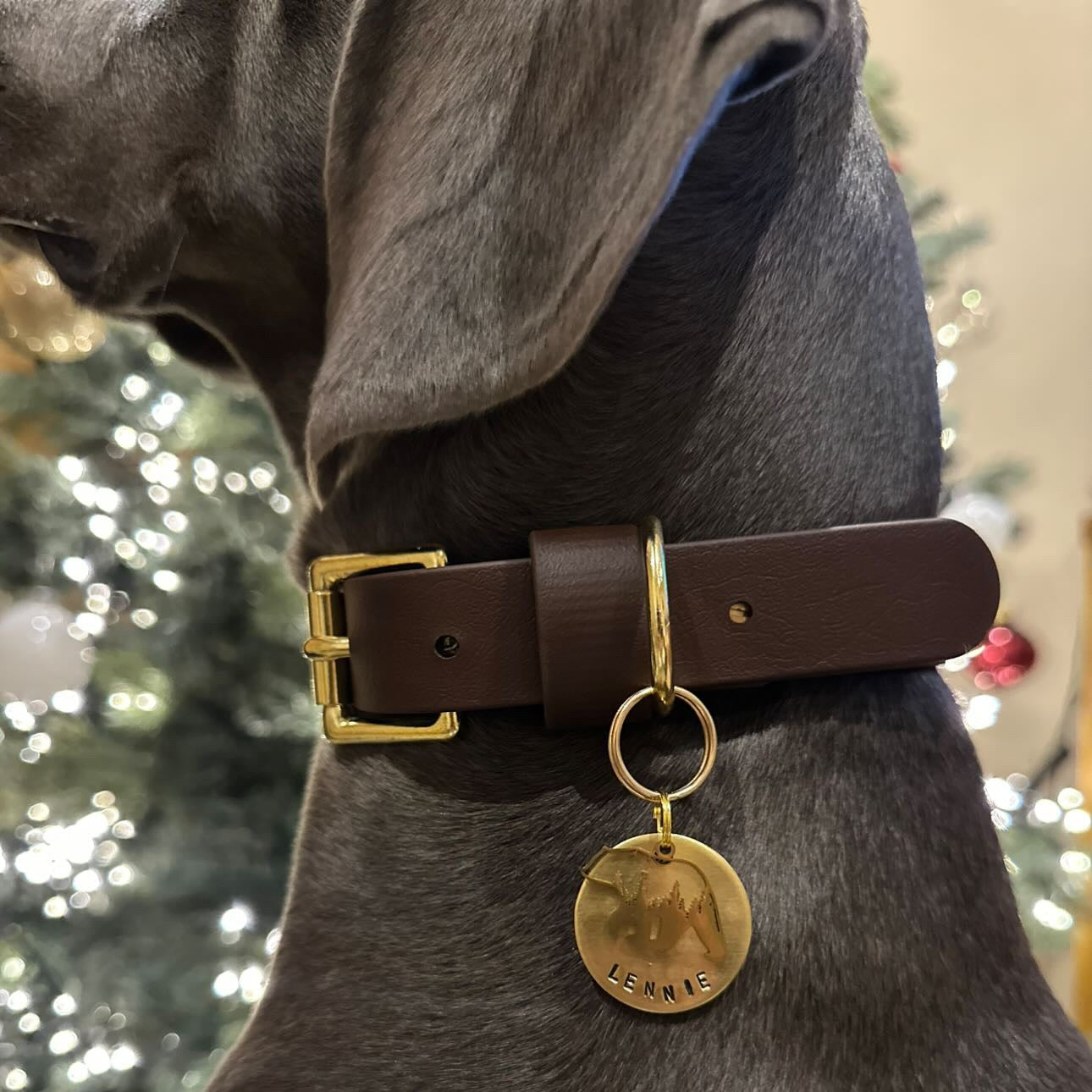 Dark Brown BioThane® Collar