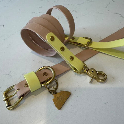 Gerald Colourblock BioThane® Collar