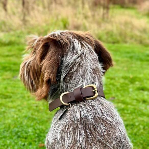 Dark Brown BioThane® Collar