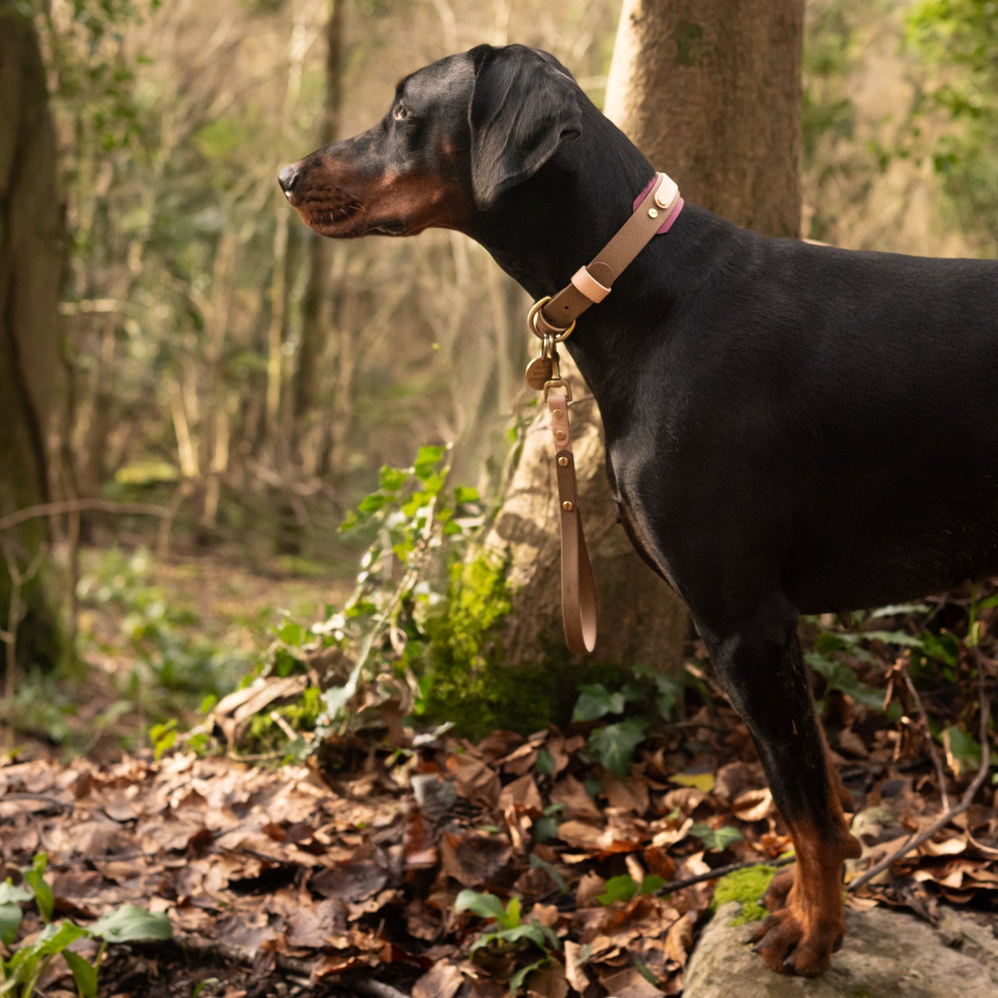 Merlot BioThane® Hound Style Collar