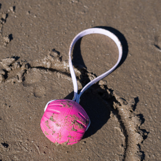 Tug Ball With BioThane® Handle