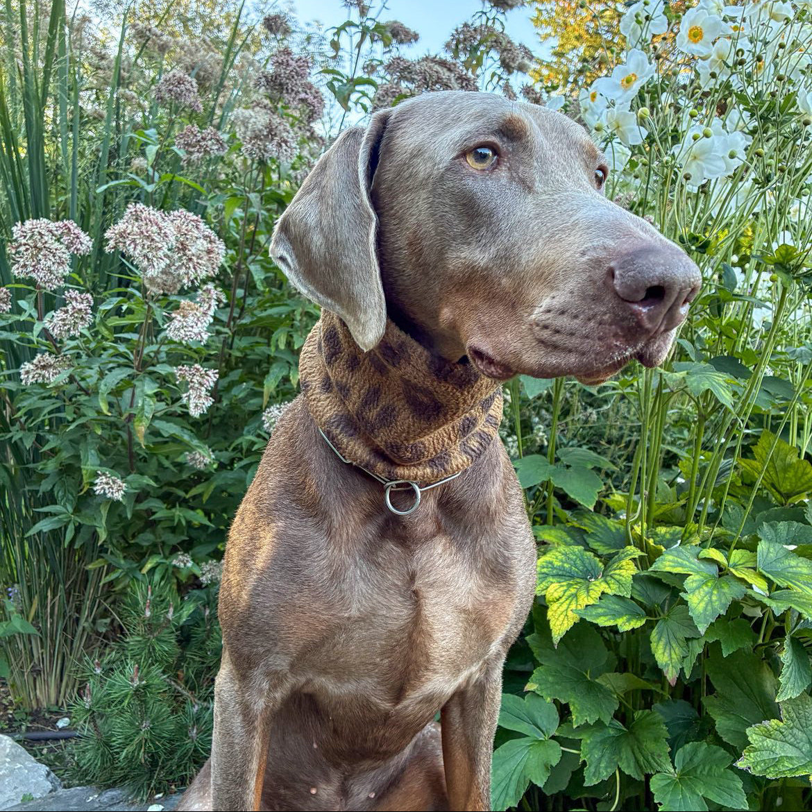 Leopard Print Fleece Dog Snood