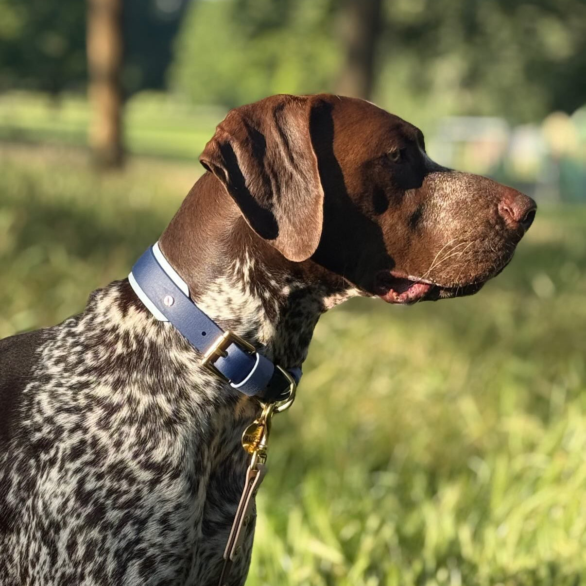 The Blues BioThane® Hound Style Collar