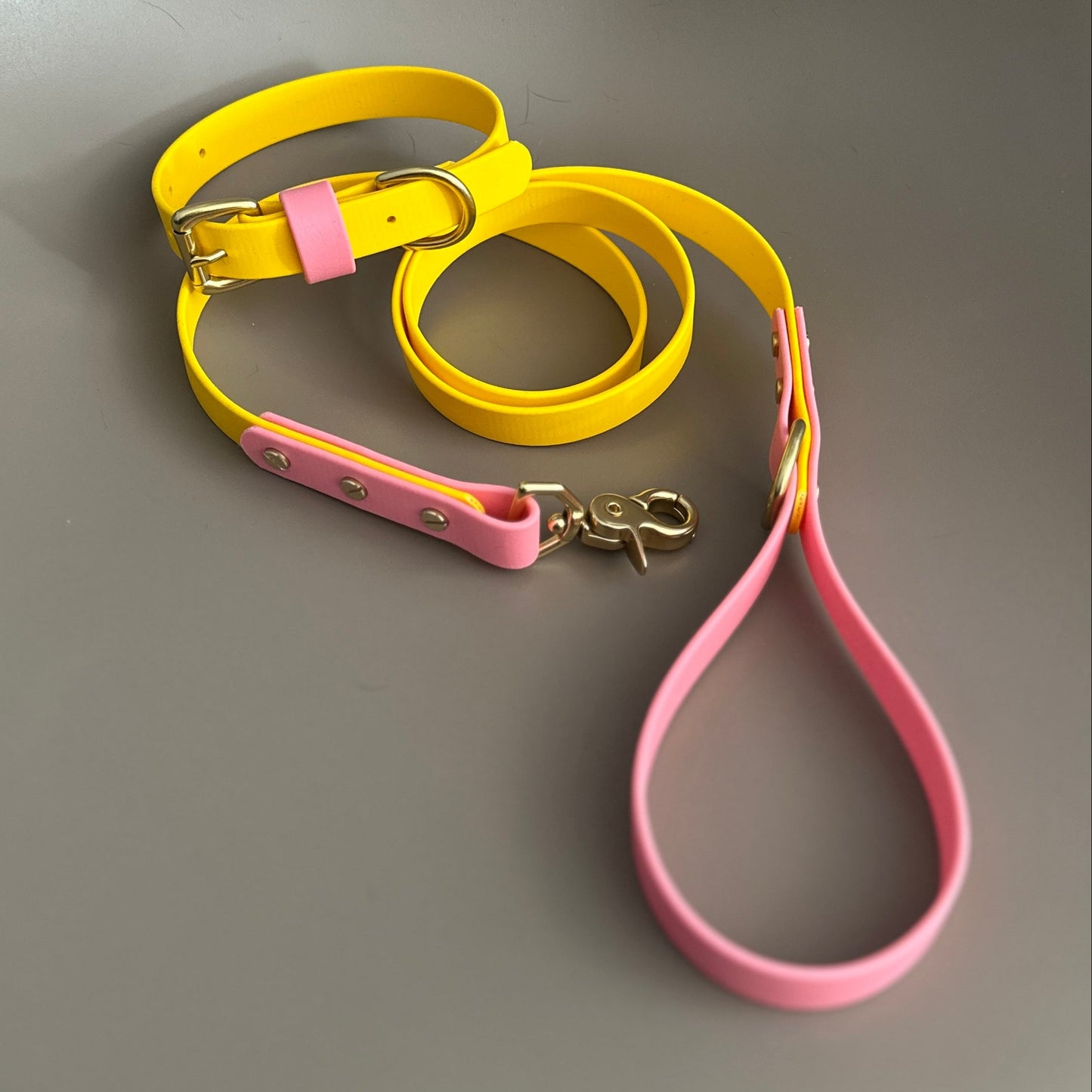 Parker Colourblock BioThane® Collar
