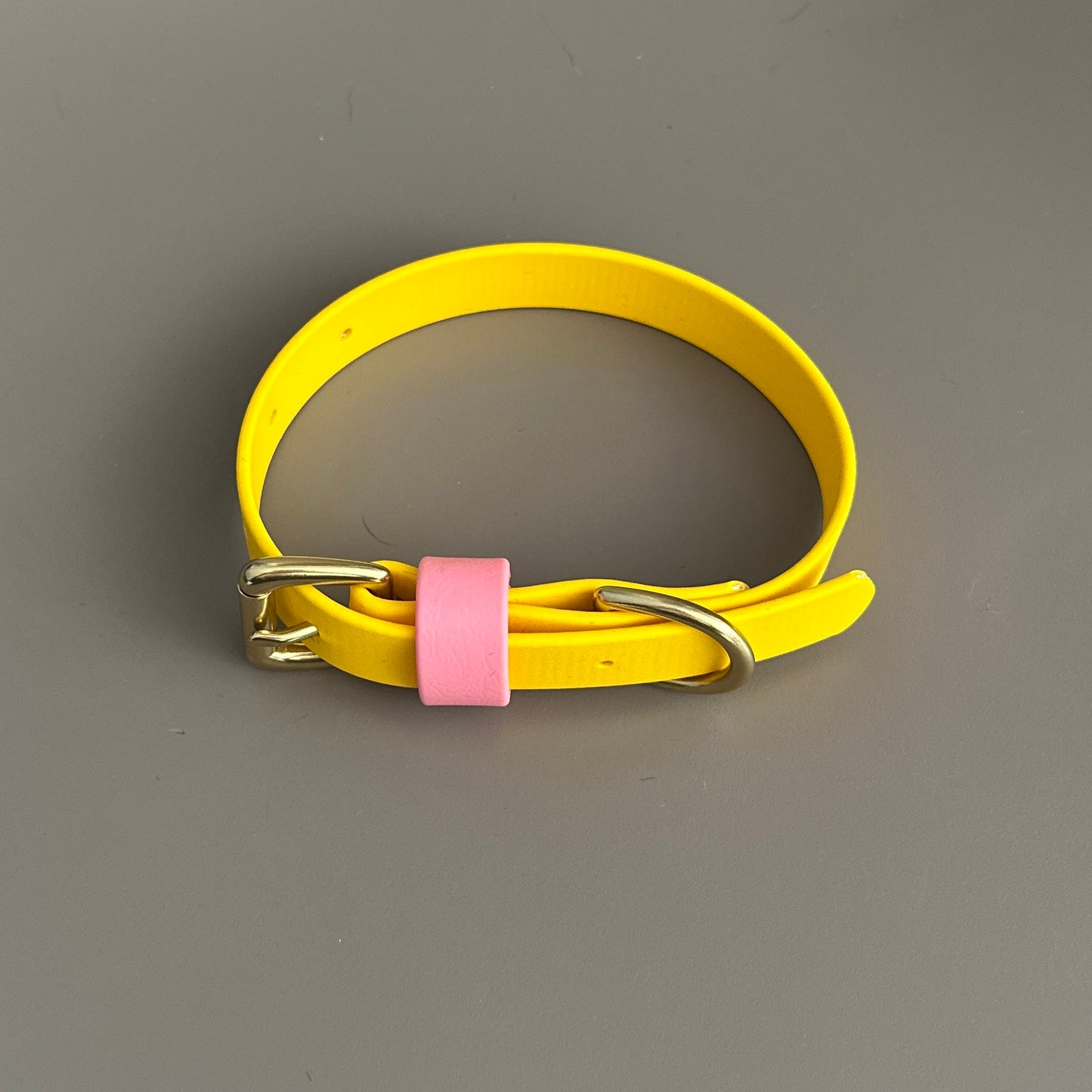 Parker Colourblock BioThane® Collar