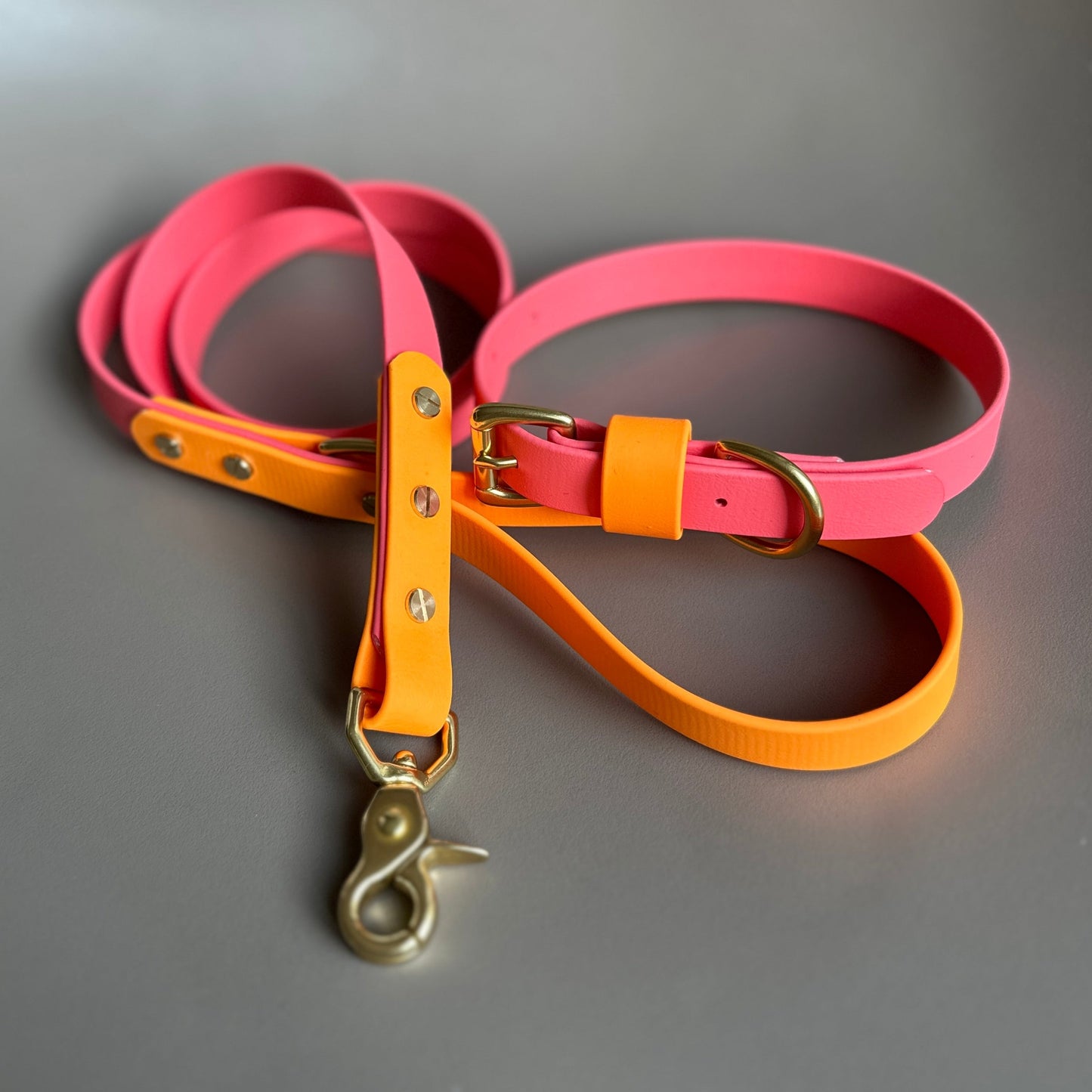 Roo Colourblock BioThane® Lead