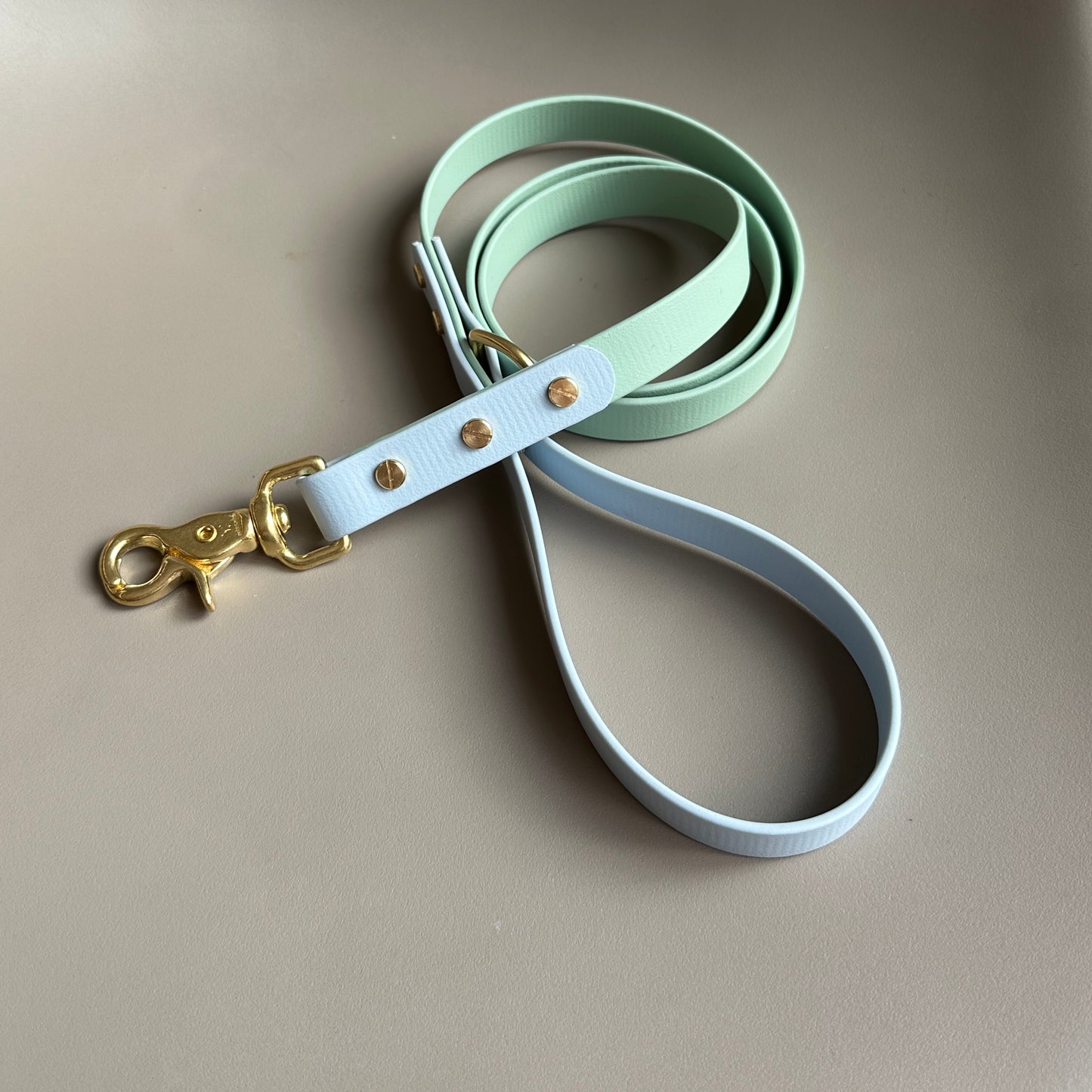 Mischief Colourblock BioThane® Lead