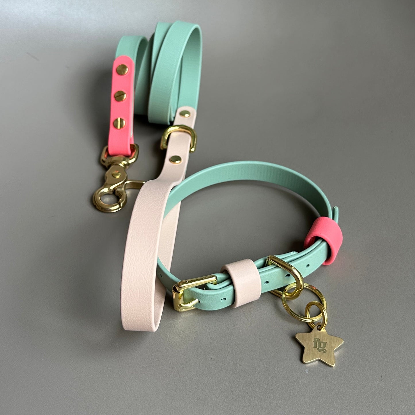 Marnie Colourblock BioThane® Lead
