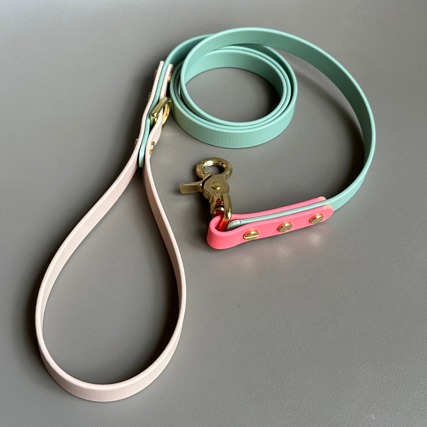 Marnie Colourblock BioThane® Lead