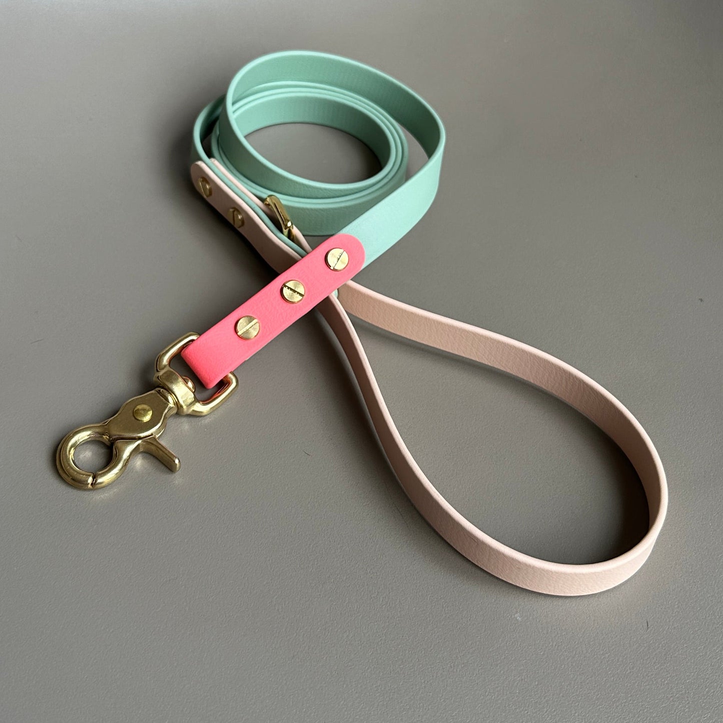 Marnie Colourblock BioThane® Lead