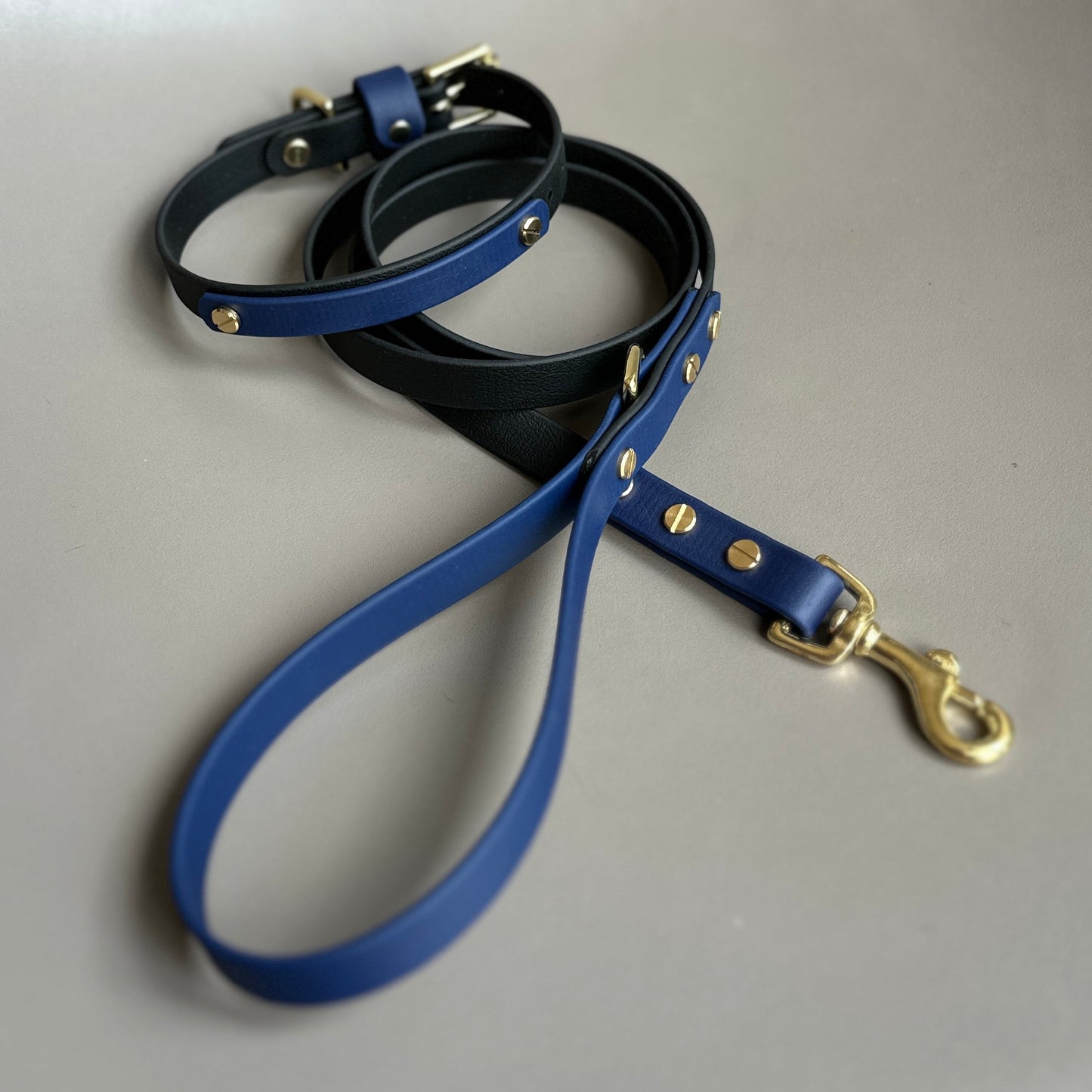 Squigg Colourband BioThane® Collar
