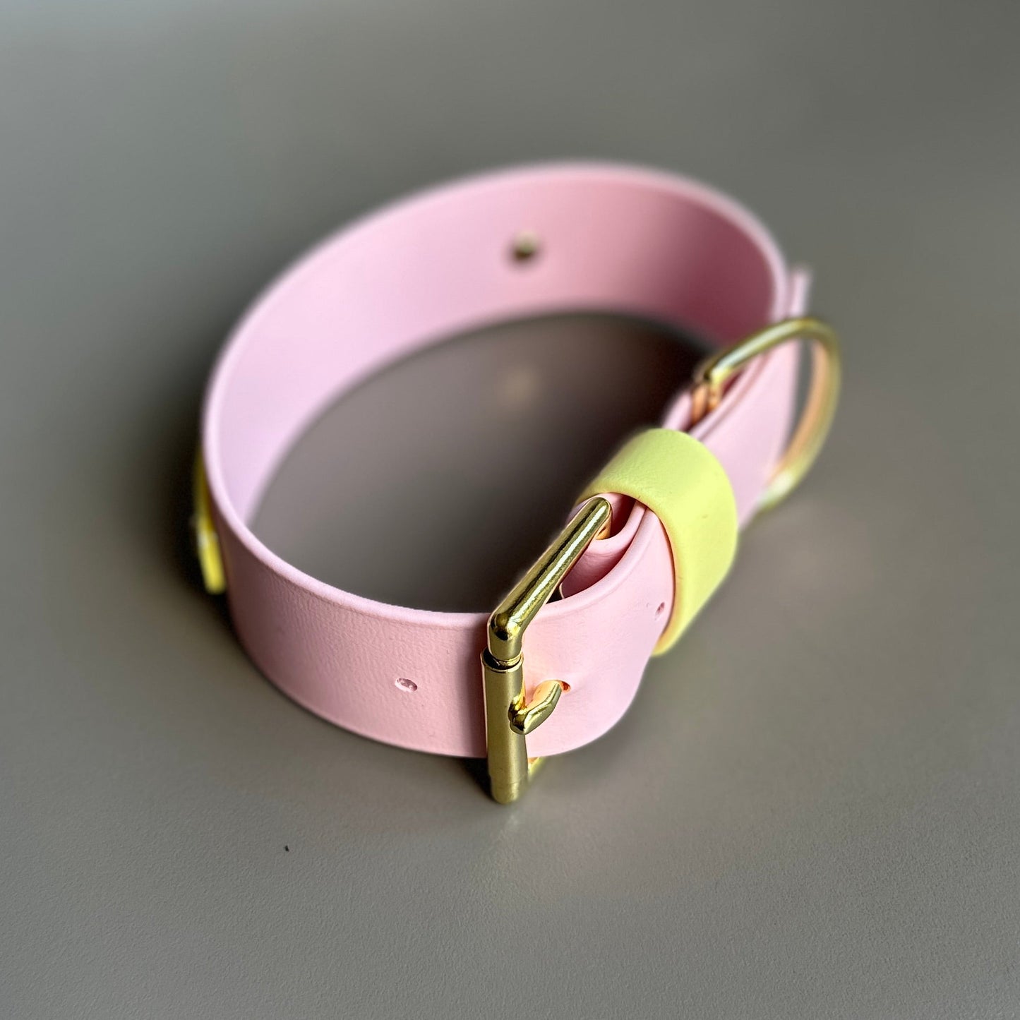 Strawberry Lemonade Wide 38mm BioThane® Collar