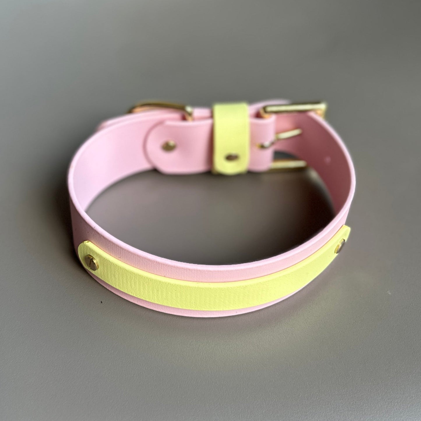 Strawberry Lemonade Wide 38mm BioThane® Collar