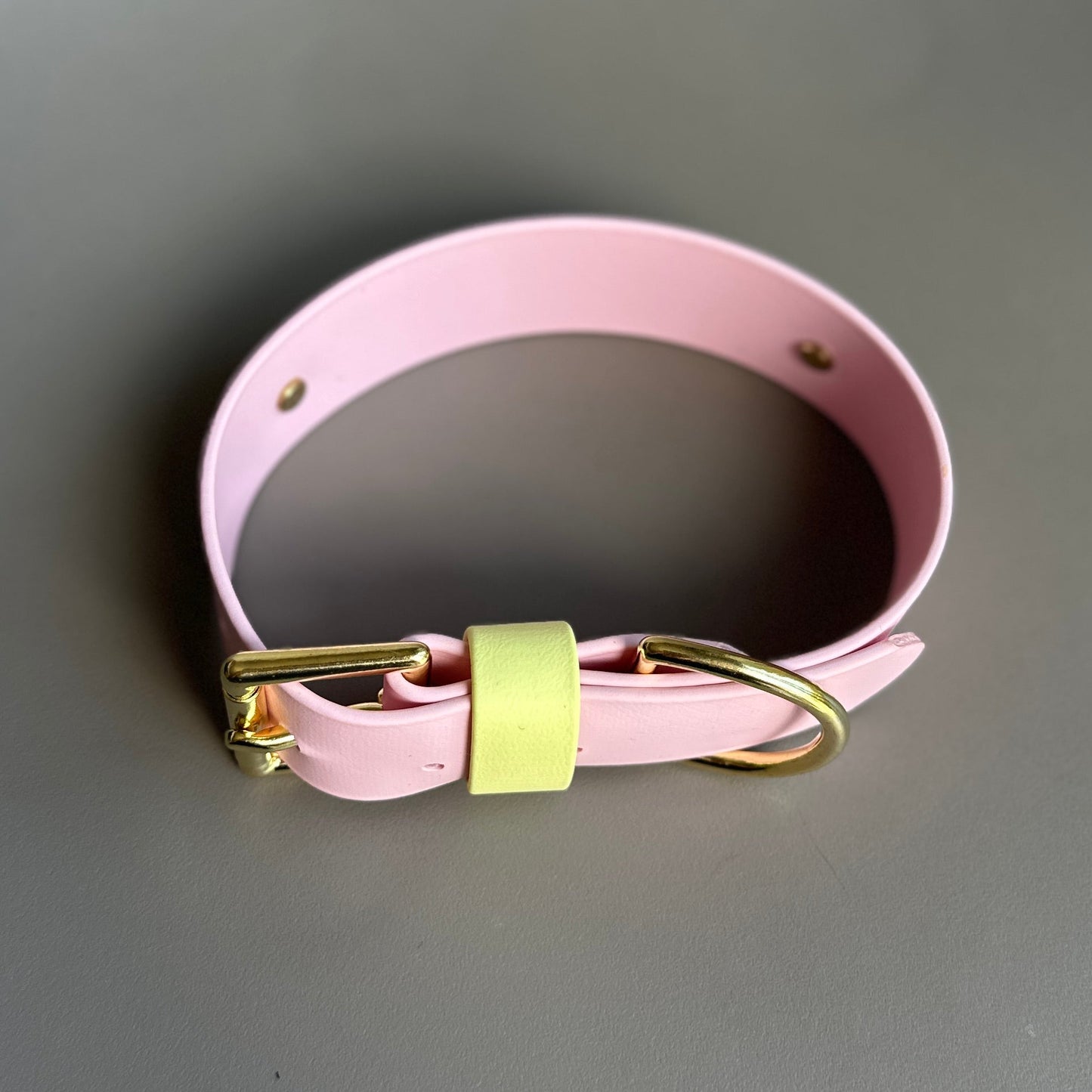 Strawberry Lemonade Wide 38mm BioThane® Collar