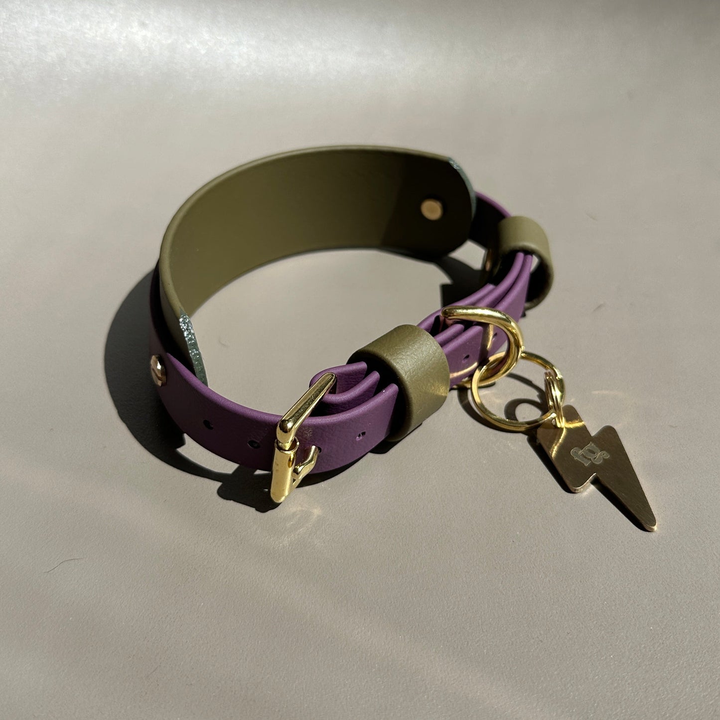 Remus BioThane® Hound Style Collar