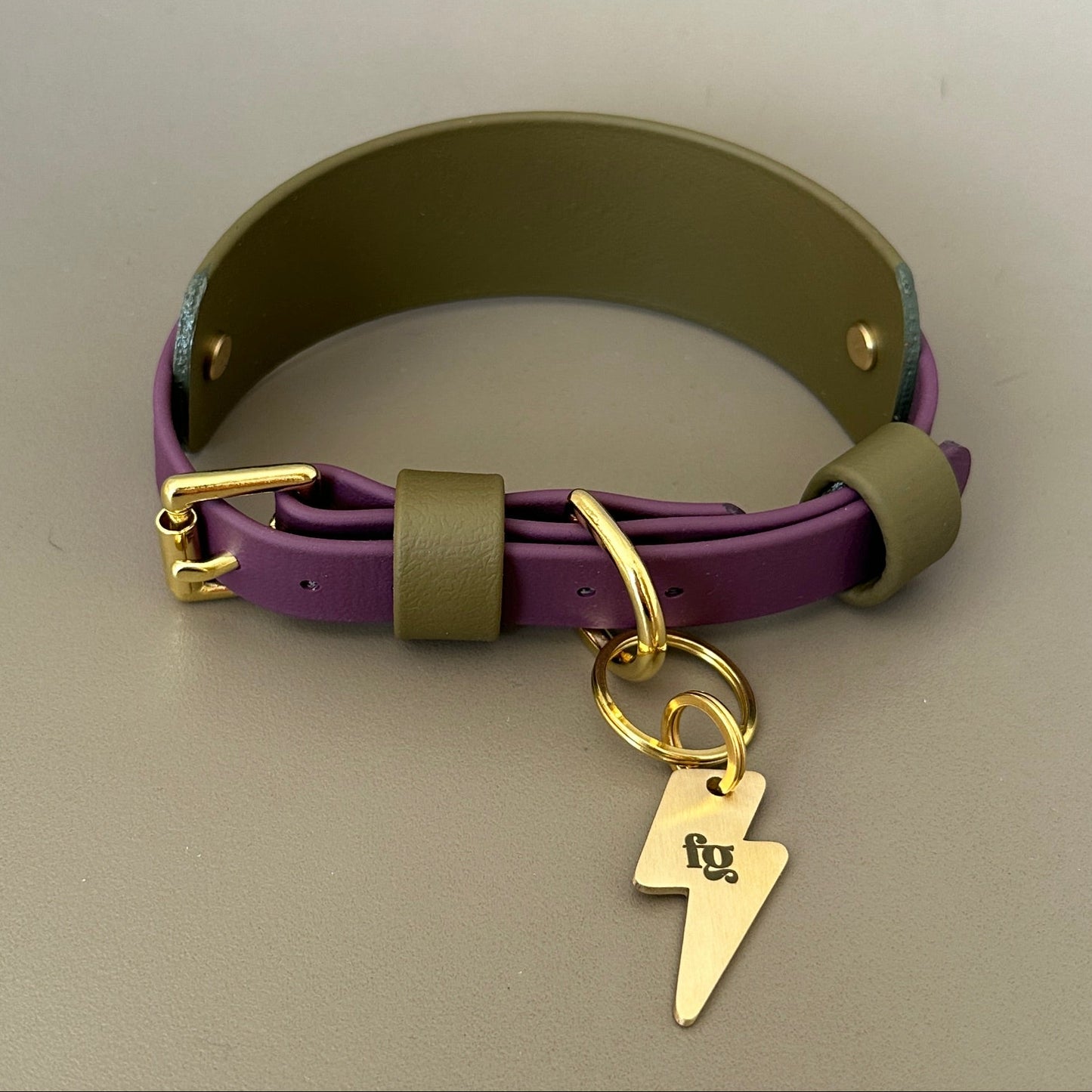 Remus BioThane® Hound Style Collar