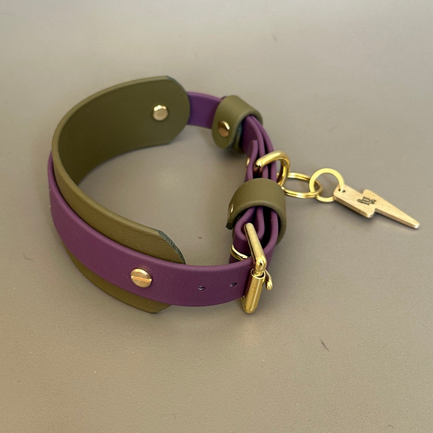 Remus BioThane® Hound Style Collar