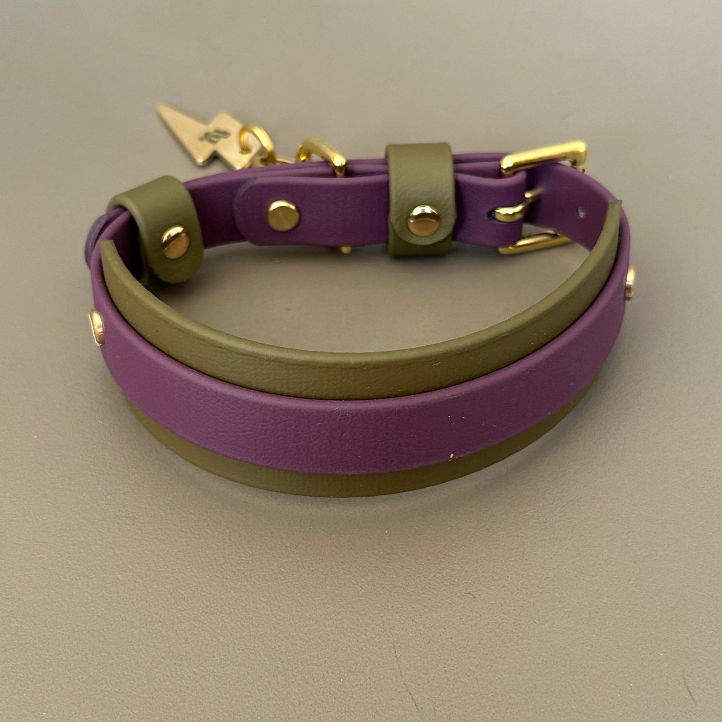 Remus BioThane® Hound Style Collar