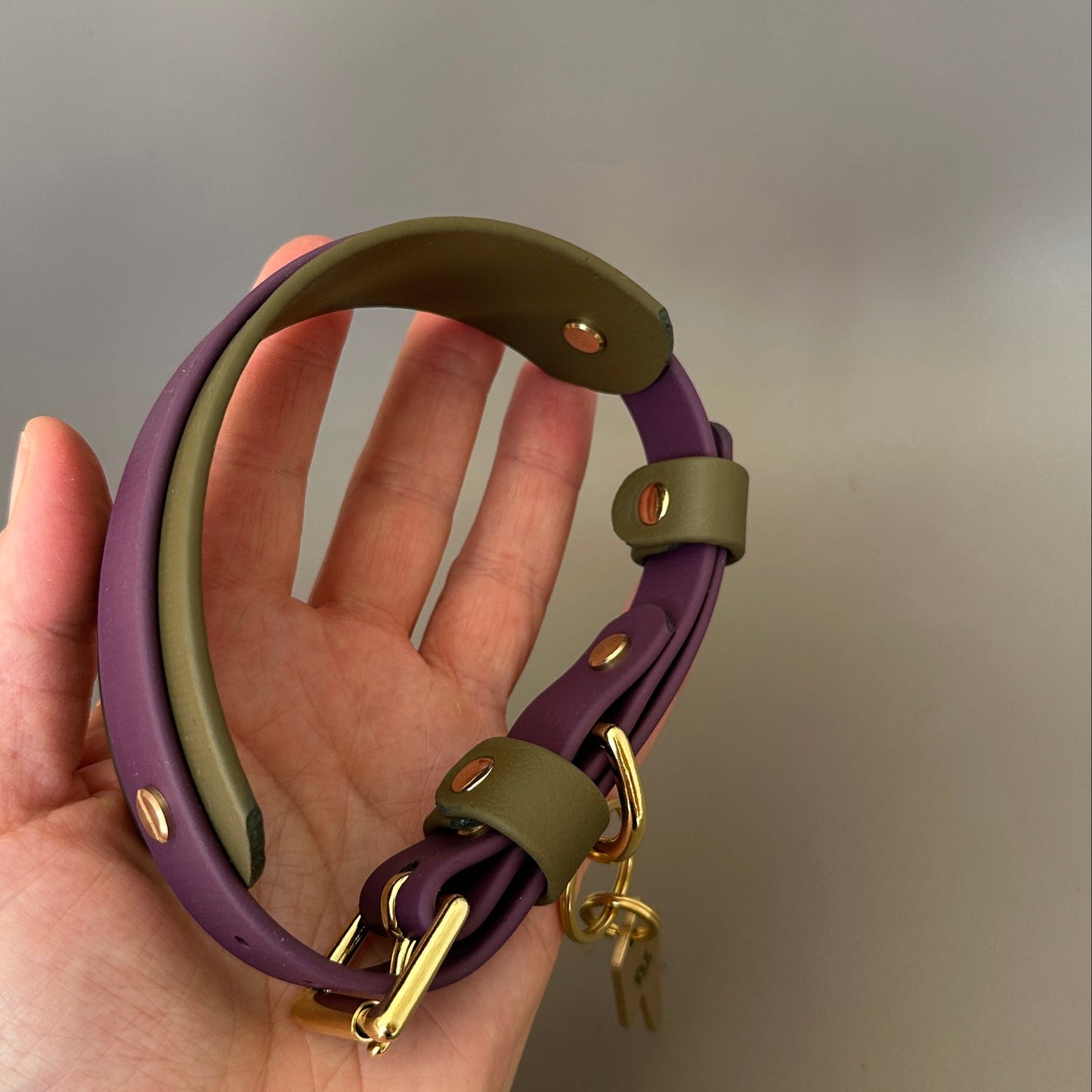 Remus BioThane® Hound Style Collar