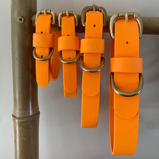 Orange BioThane® Collar