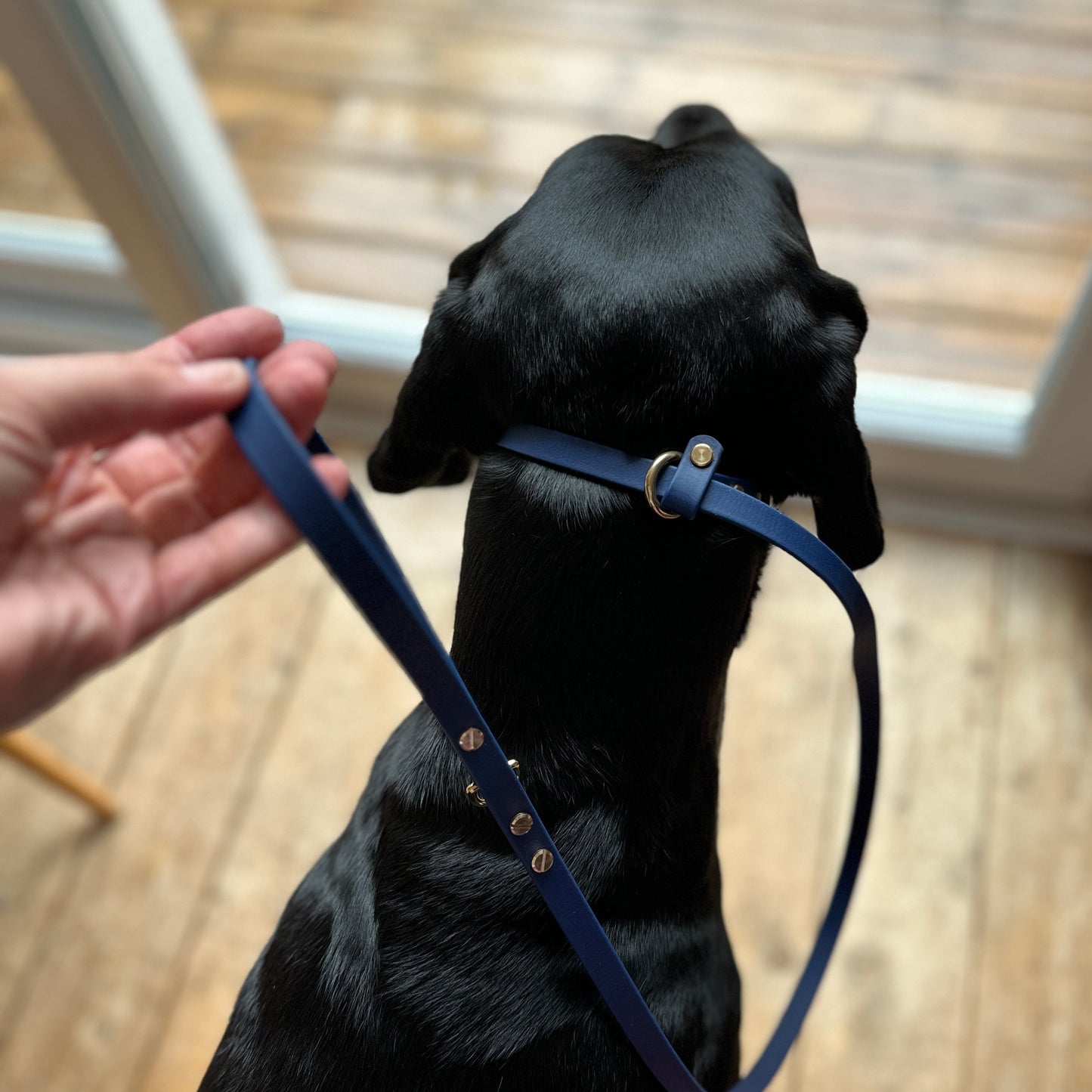 BioThane® 12mm Slip Lead