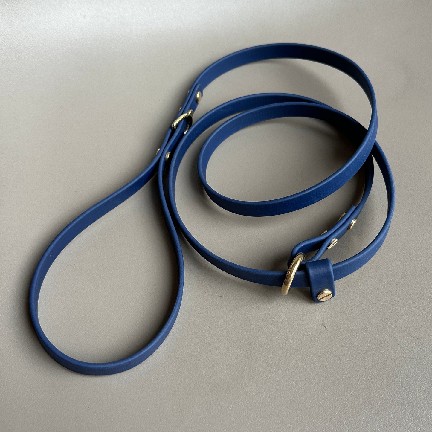 BioThane® 12mm Slip Lead