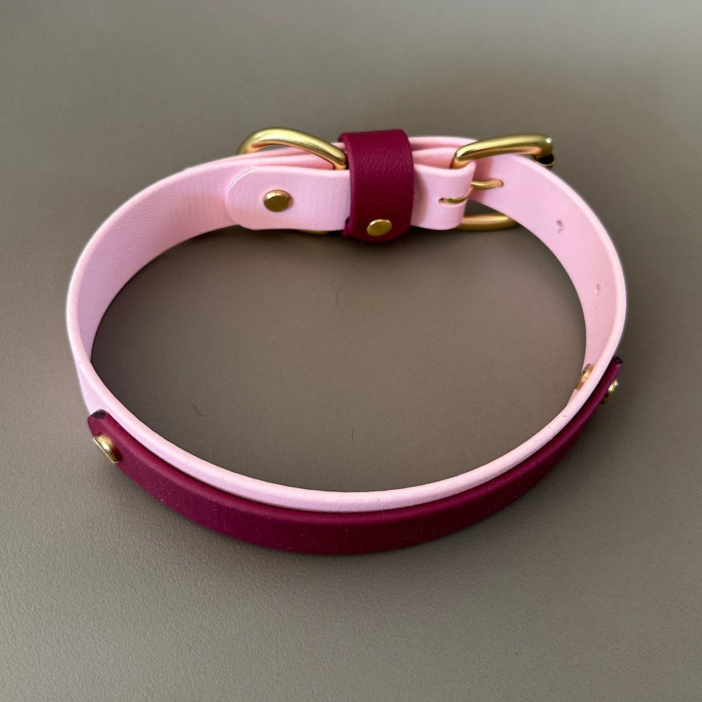 Mellie Berry Colourband BioThane® Collar